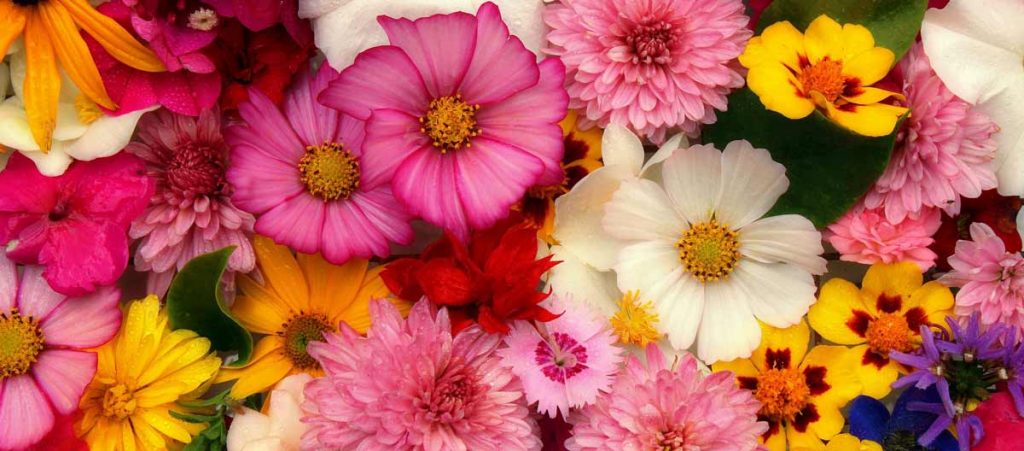 Genesungswünsche schreiben