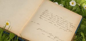 Gesundheit - Sprüche