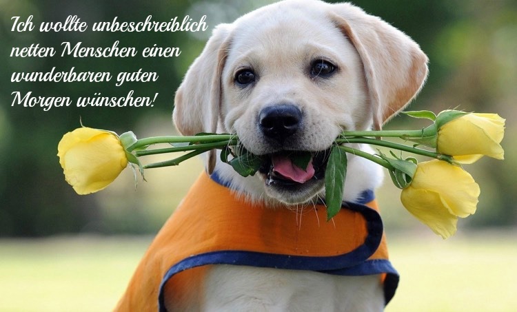 guten-morgen-bilder-kostenlos-nett-mann-freundin.jpg abc