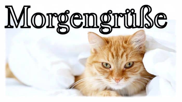 guten-morgen-grube-fur-whatsapp-5