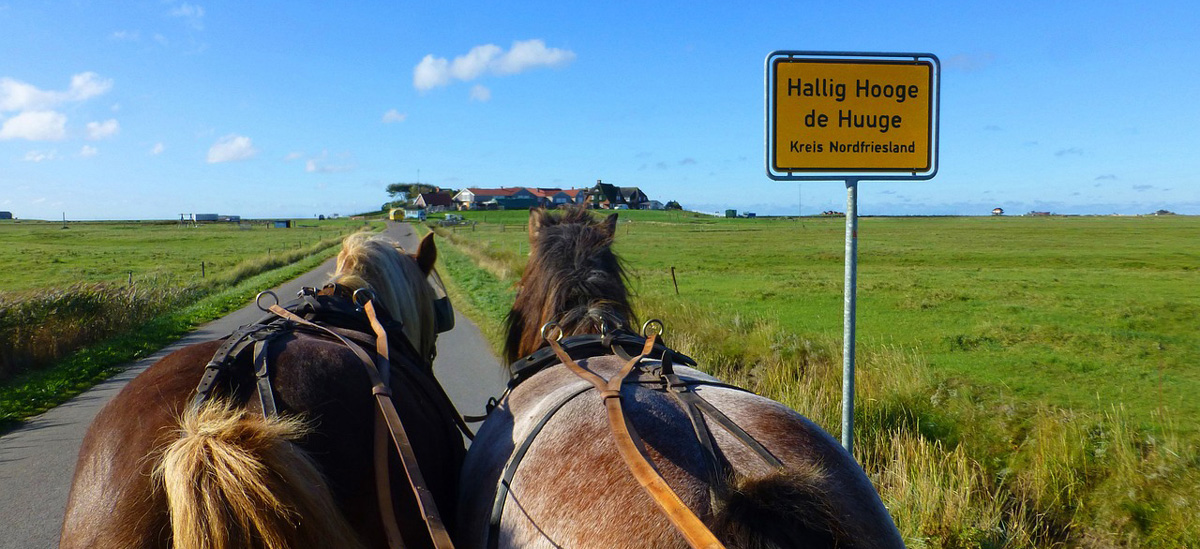 Hallig Hooge