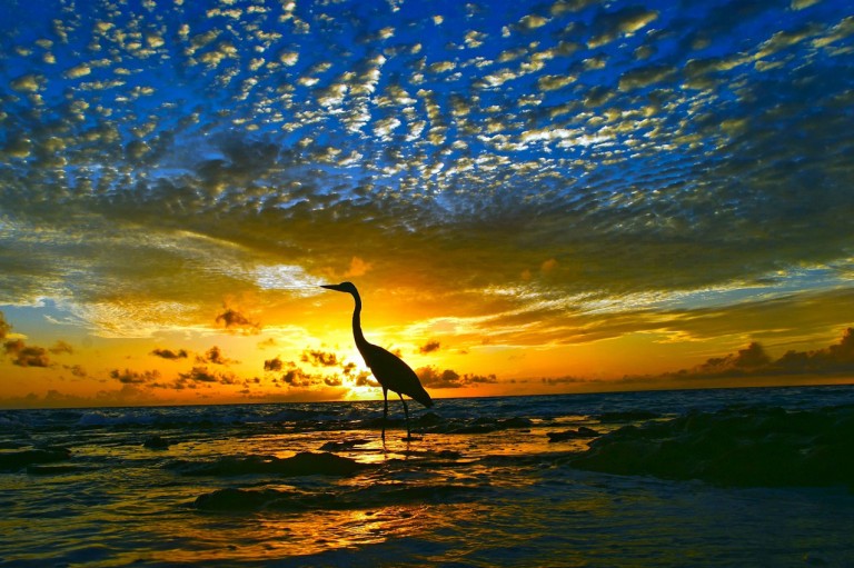 hd-landscape-images-amazing-landscape-wallpaper-of-nature-mac-desktop-images-free-nature-images-field-panoramic-images-download-images-1276x849-768x511