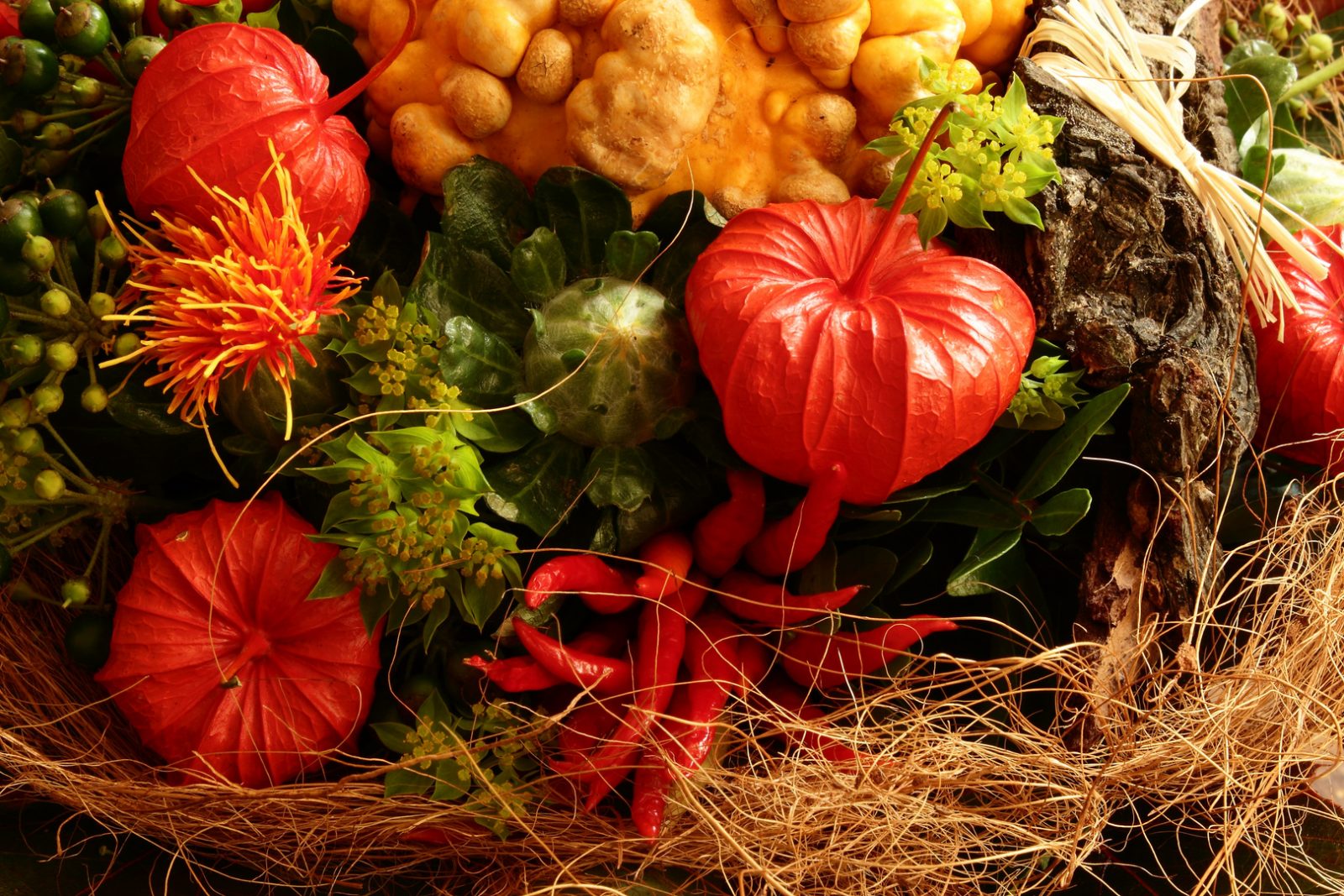 herbststrauss-f6d18993-b8d8-4a6b-84f0-f8e4553d53ea