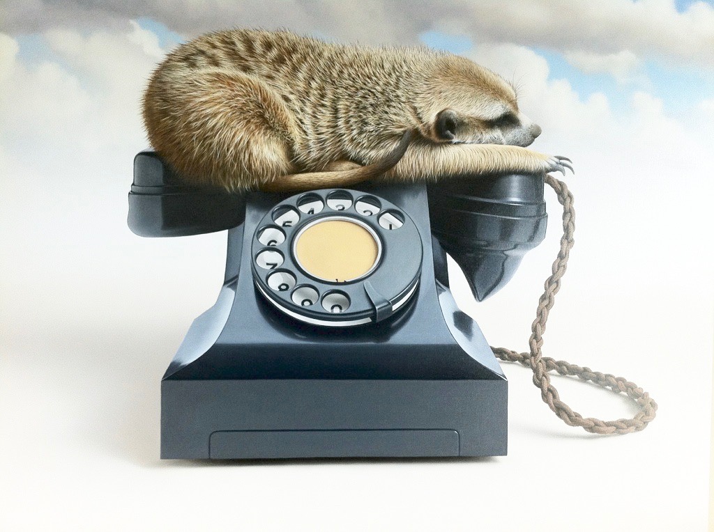 iCWvOcGNToefvCCb21LPQg_thumb_cb7 (2)