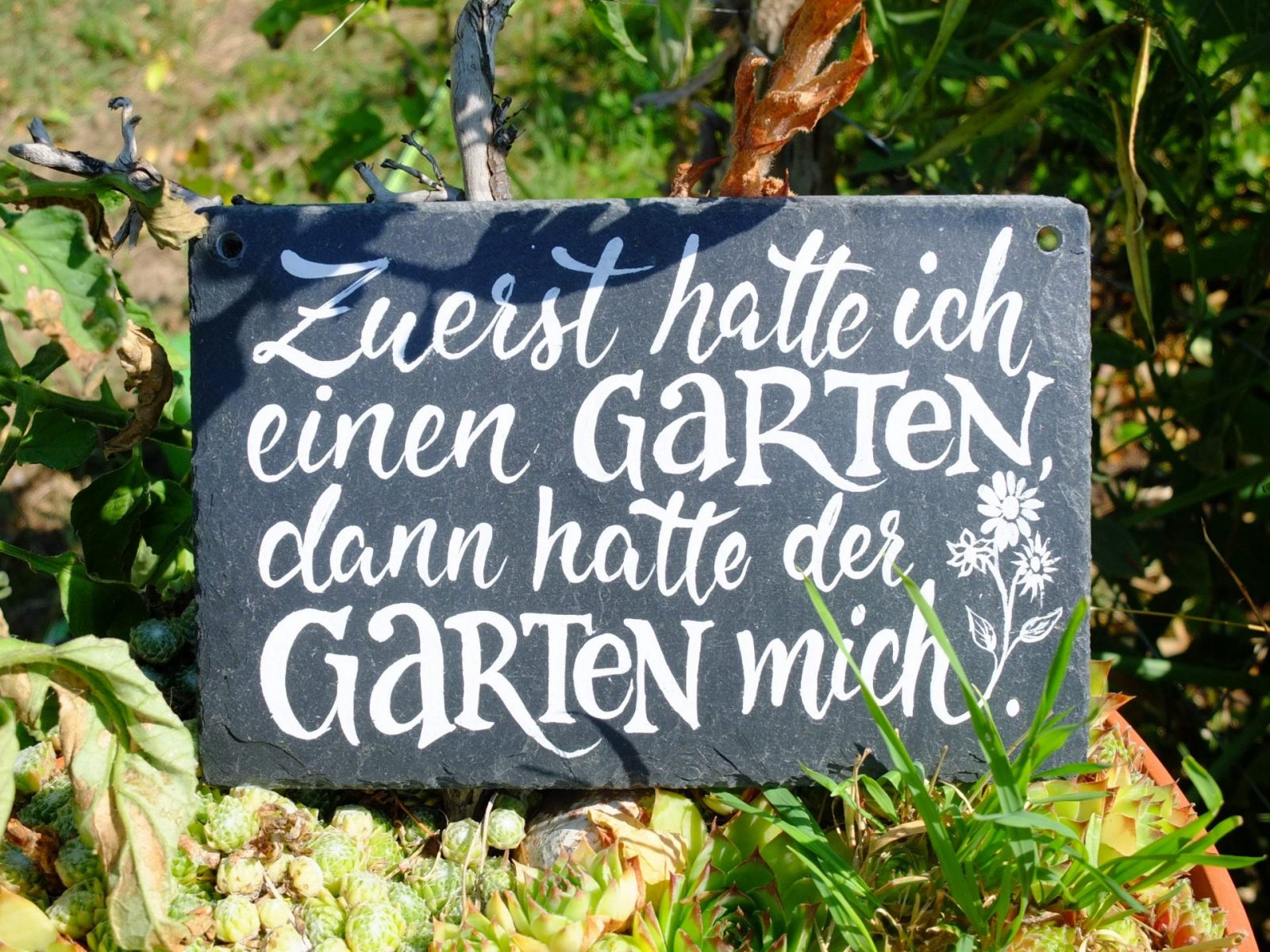 il_fullxfull.3378047938_gnvl