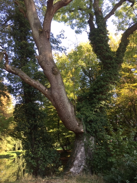 image2.jpegplattenburg 10