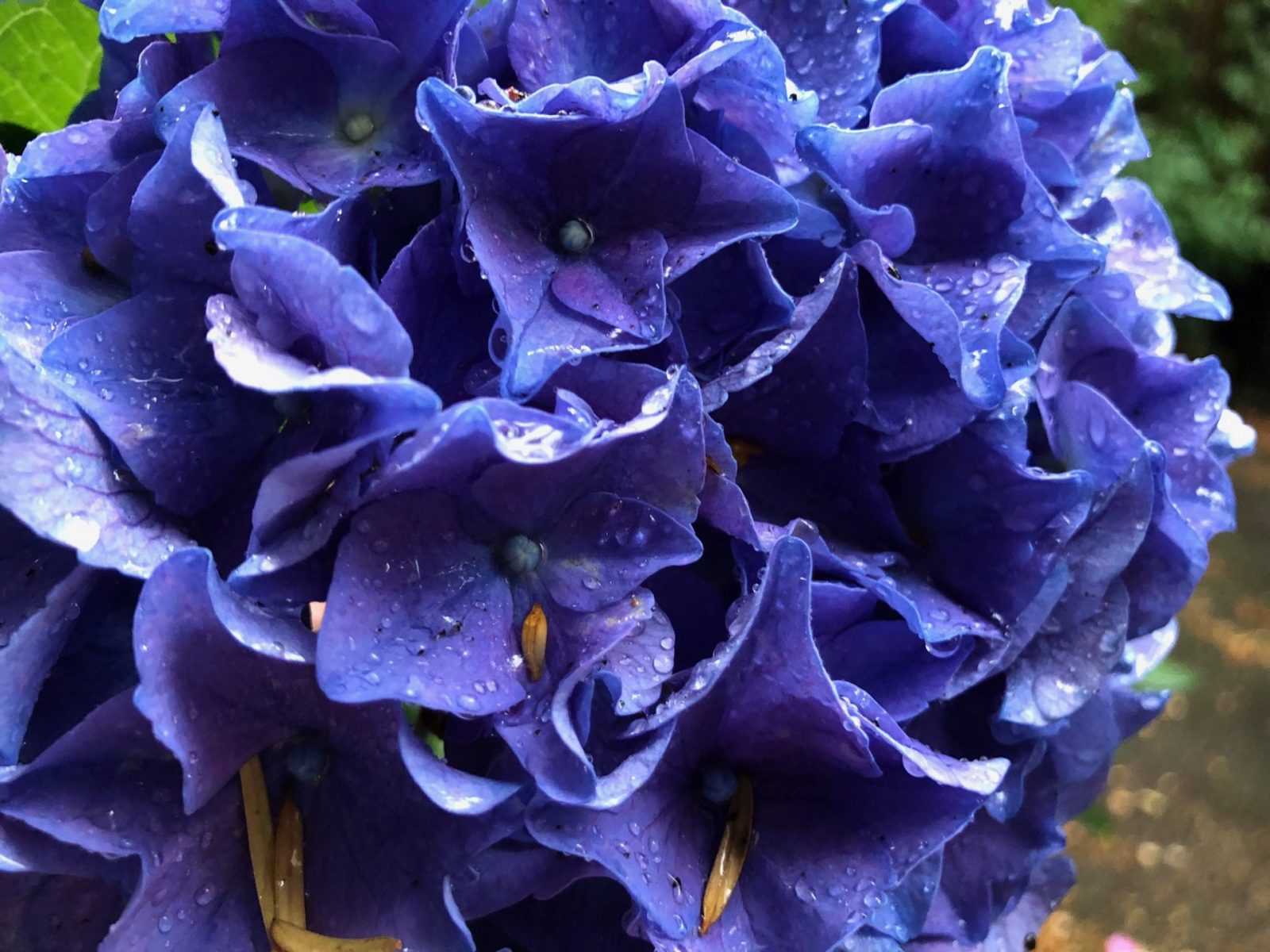 image2.jpeg30.6.21 2