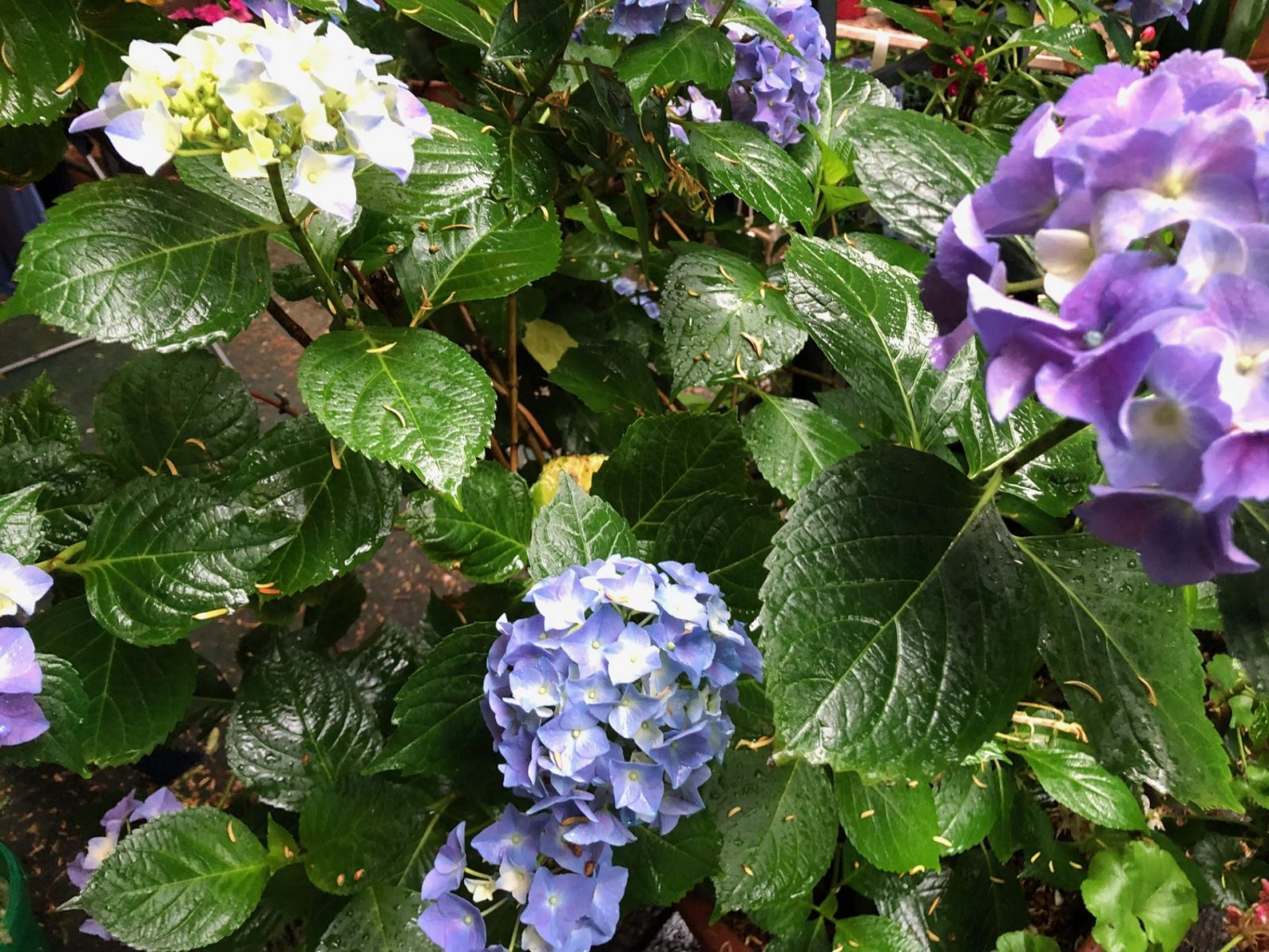 image3.jpeg 30.6.21 3