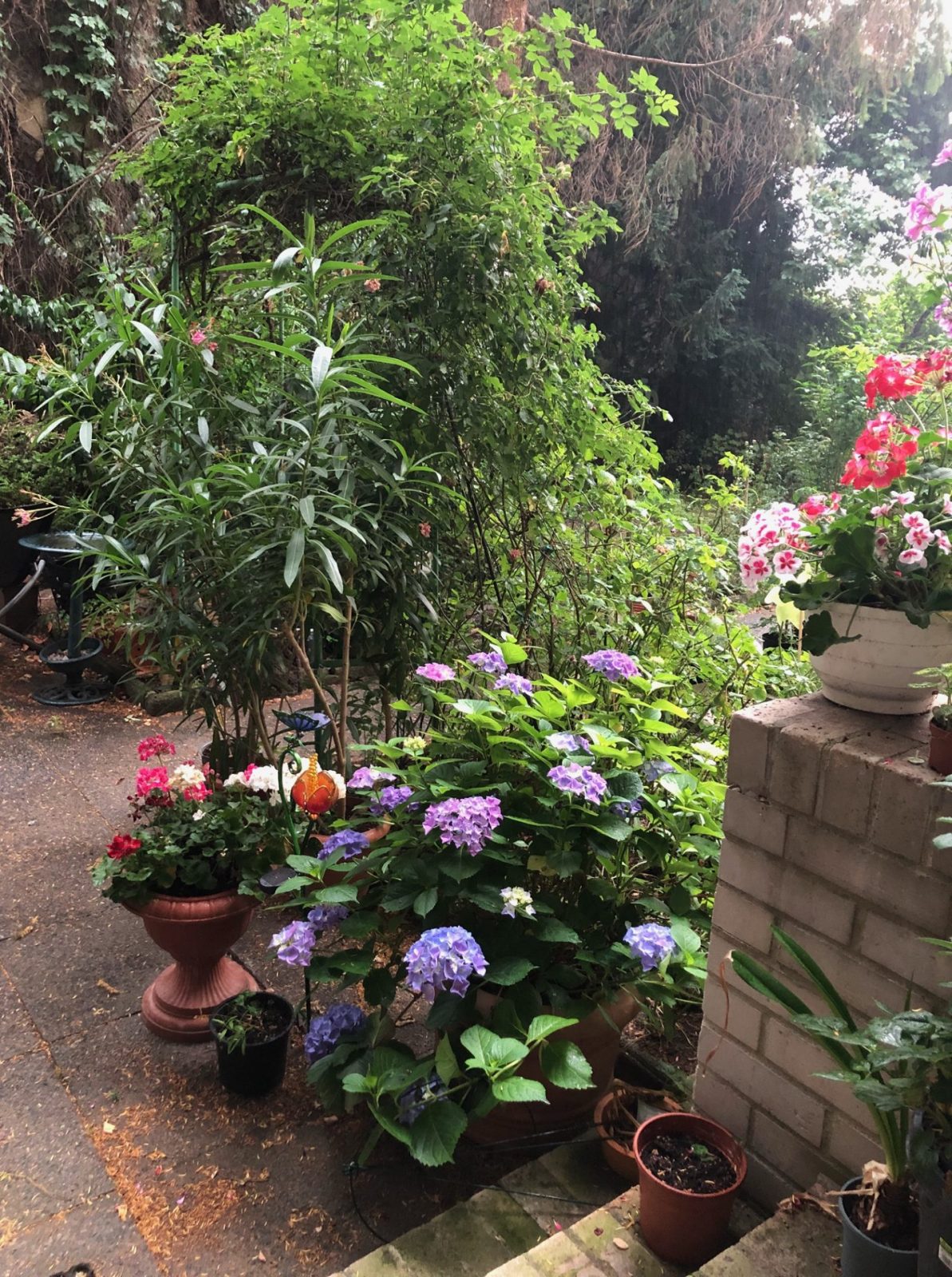 image4.jpeg regen 29.6. a