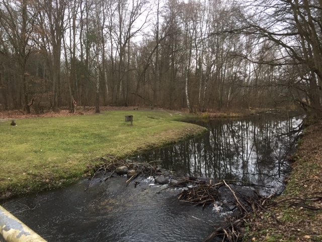 image4.jpeg16.12.18 h