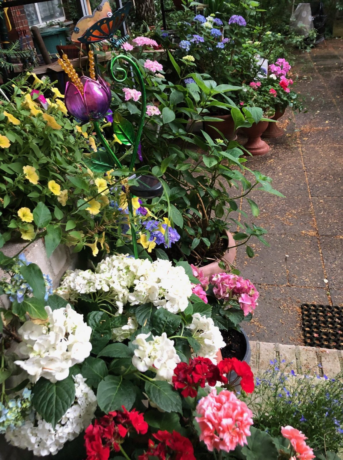 image5.jpeg regen 29.6. c