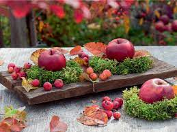 images - 2023-10-27T092800.253