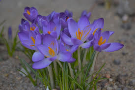 images - 2024-02-17T090743.942