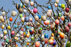 images - 2024-03-17T171837.599