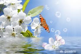 images - 2024-04-01T101645.802