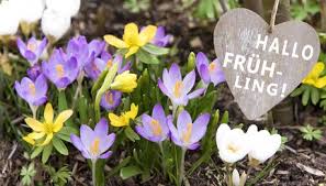 images (2)Frühling 3