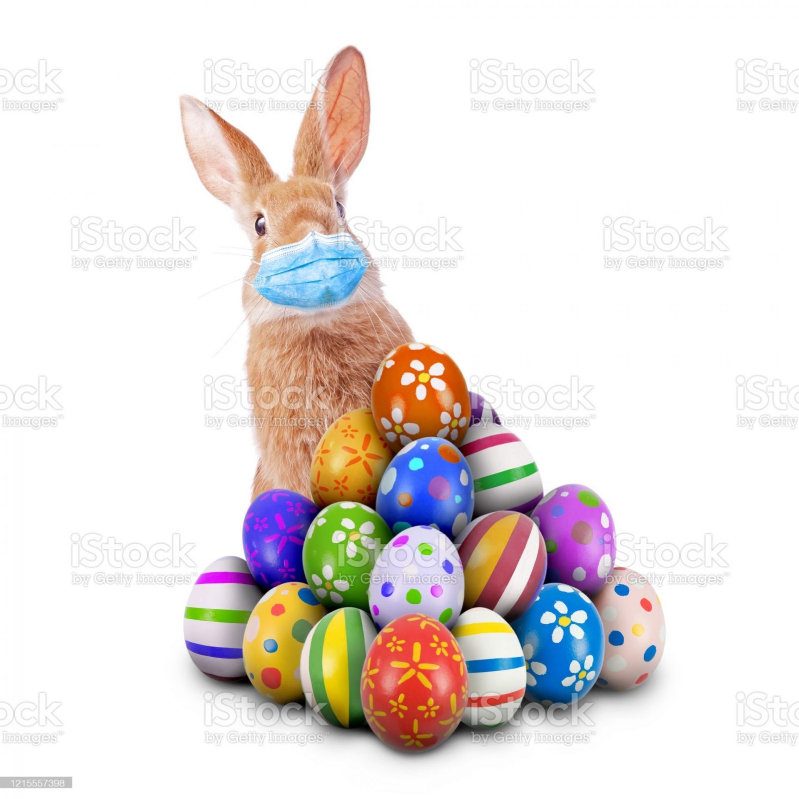 istockphoto-1215557398-2048x2048