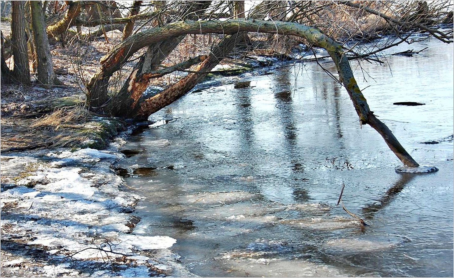 januar-96198b9f-bb26-4d2e-bf77-a62bbc844527