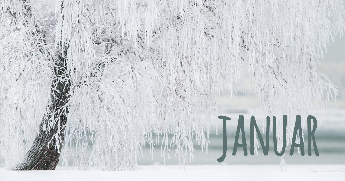 januar_1200x630