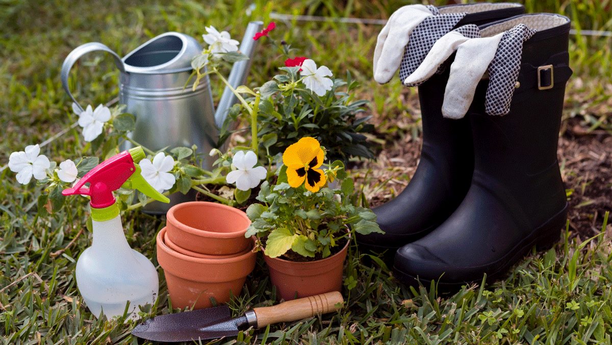 Kaffeesatz im Garten