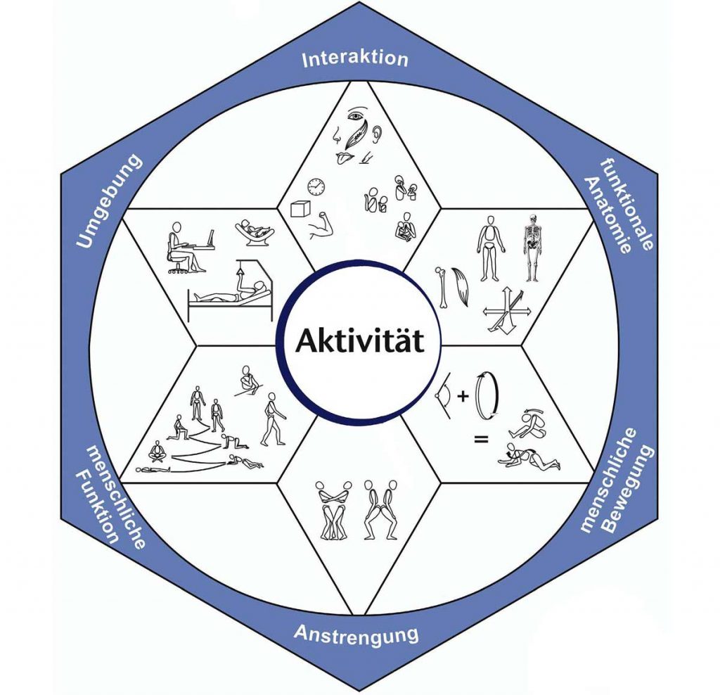 Kinästhetik Konzept