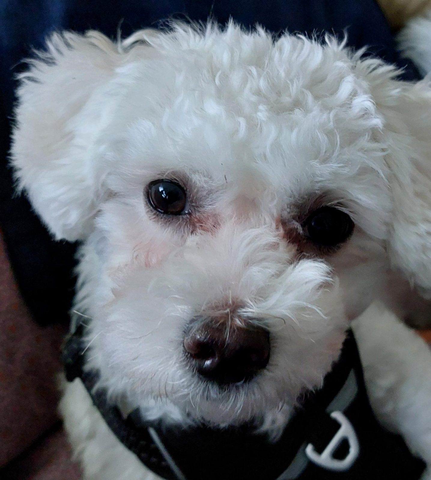 kolja ganz naher kopf