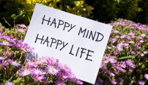 Lustige Lebensmottos