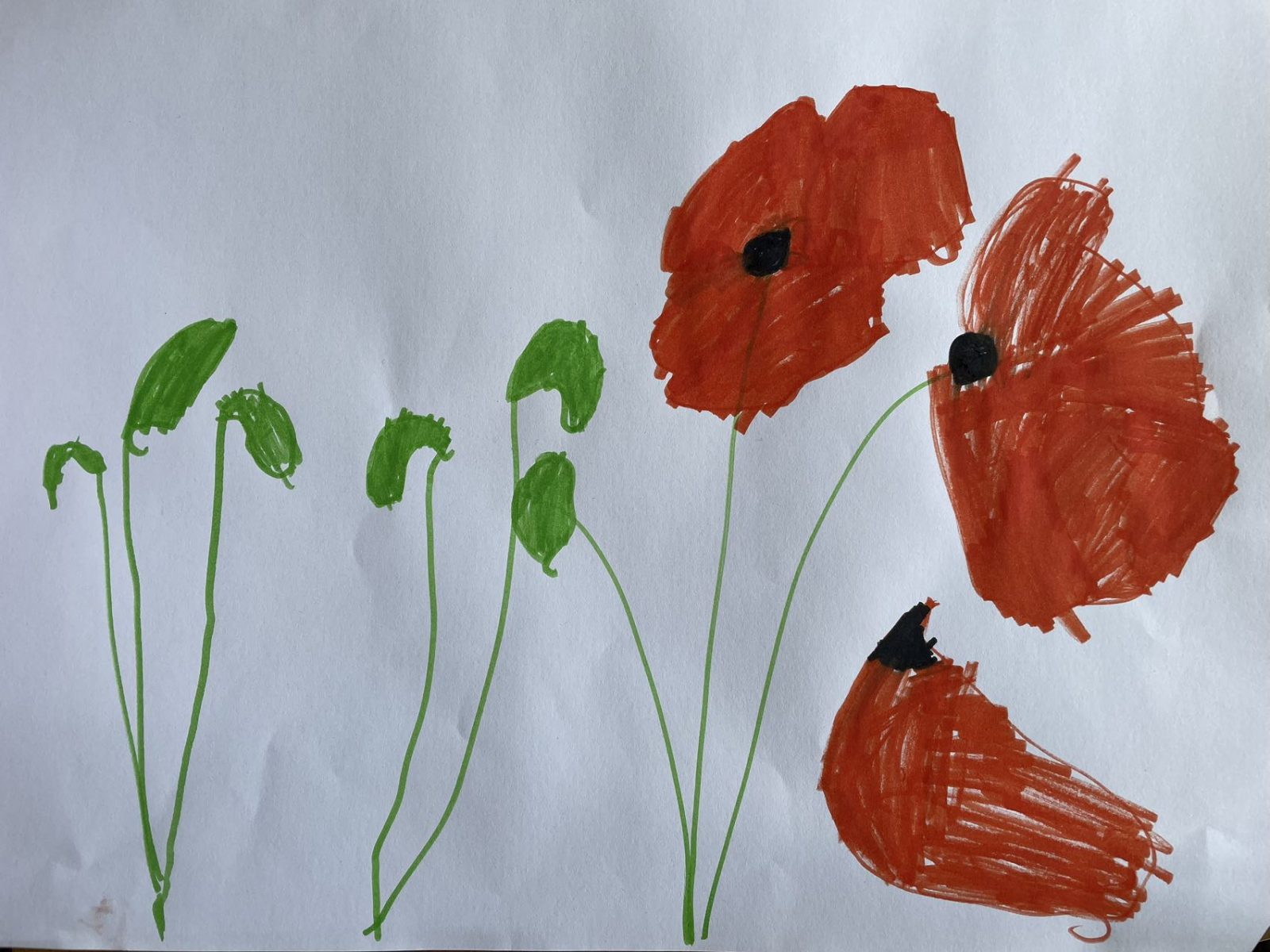 mmexport1685370990572