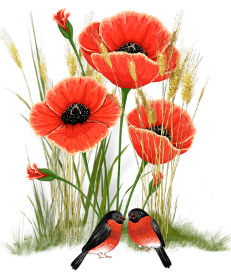 mohn14.png vbg