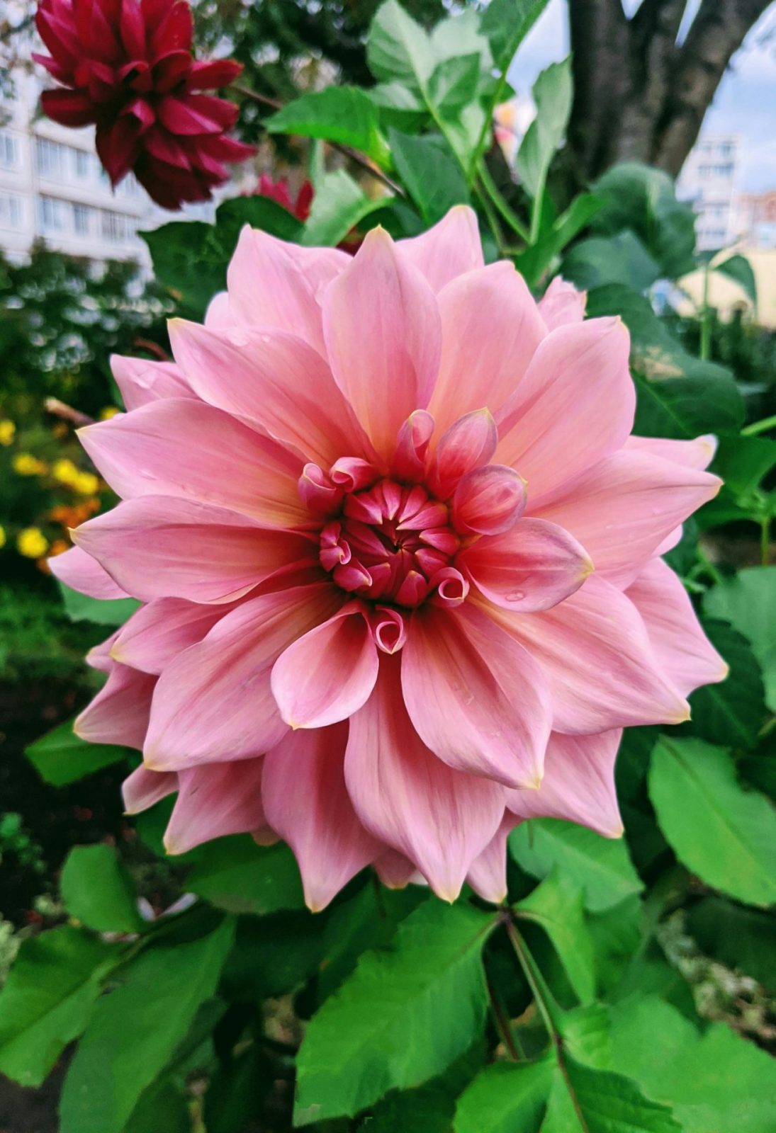 pexels-guzel-s-3331480-28831078