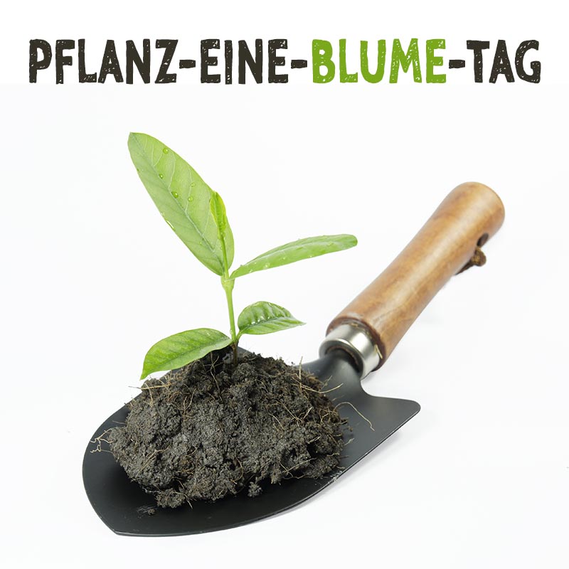 pflanz-eine-blume-tag