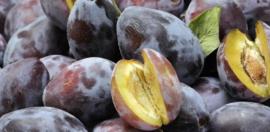 Pflaumen zur Verdauungsförderung