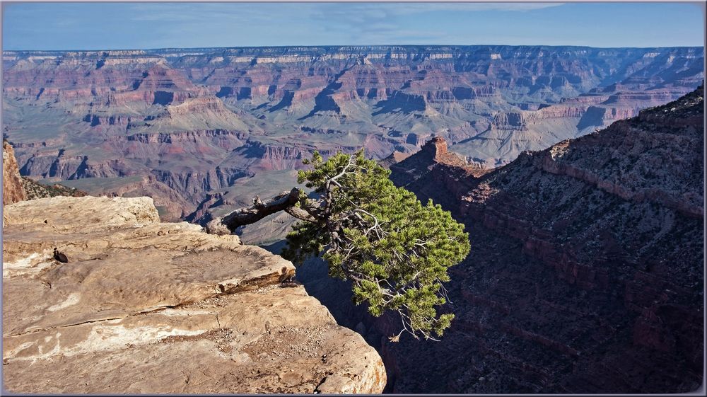 randerscheinung-f0fa2df4-c548-459e-8994-dc9d8e124593