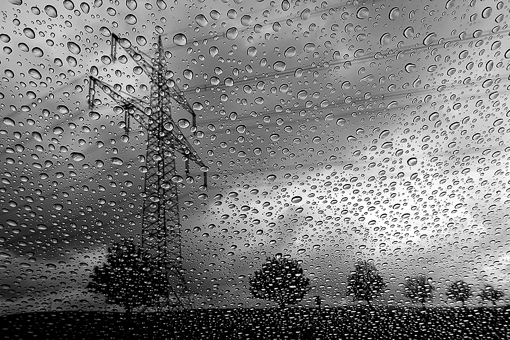 regentage-85a8d56e-ab4e-47b5-b165-e1d43886137f