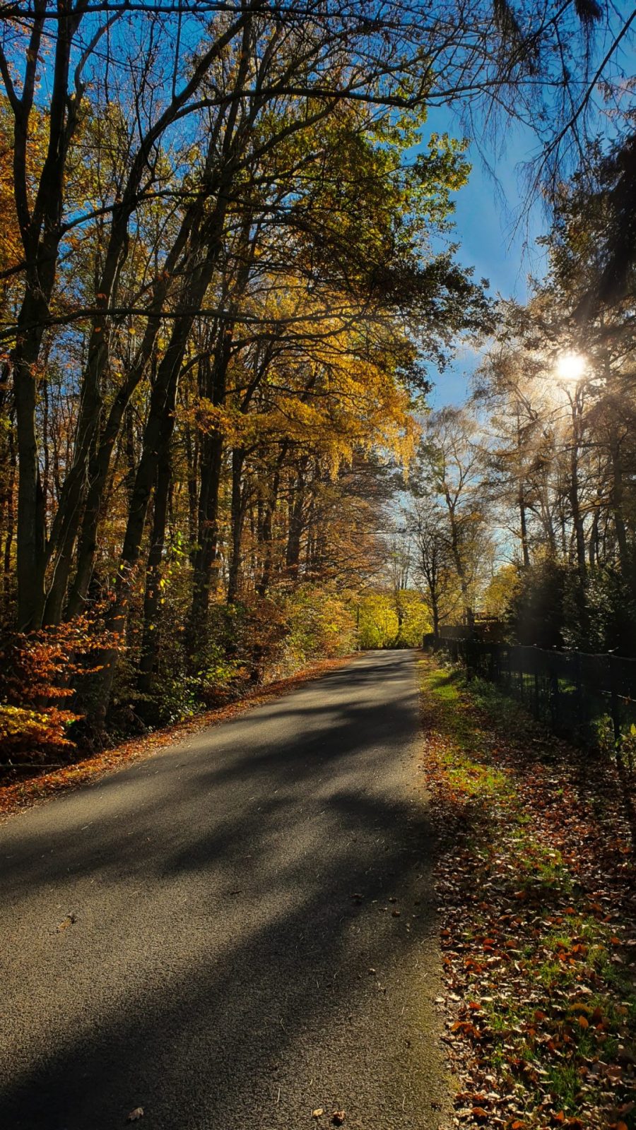 resized_2022_Sonstiges_0074