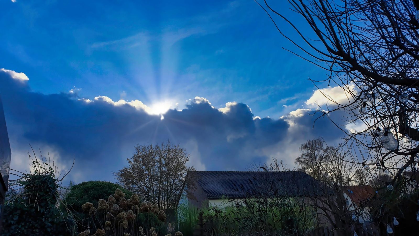 resized_20230106_131108c