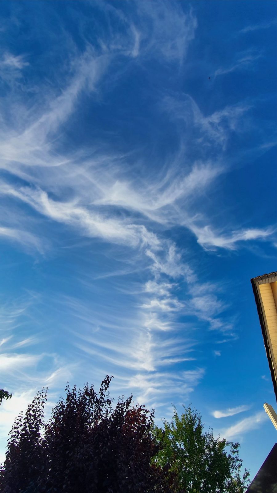 resized_20230625_202244C