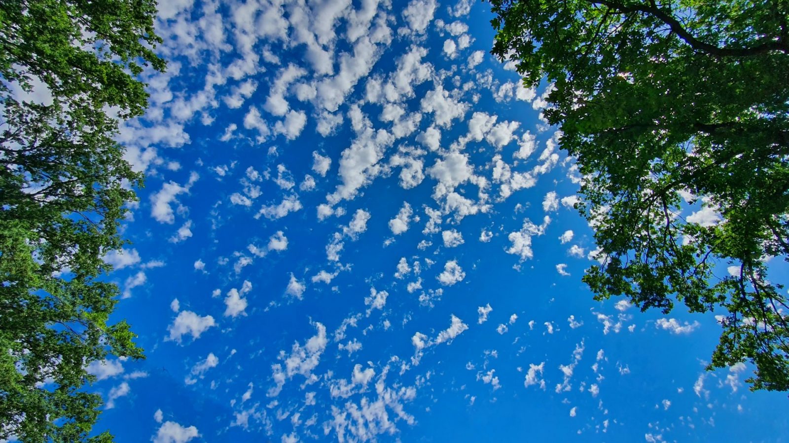 resized_20230715_115344c