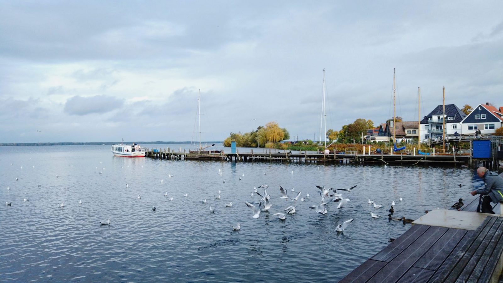 resized_2023_Ausfluege_Steinhude_076X