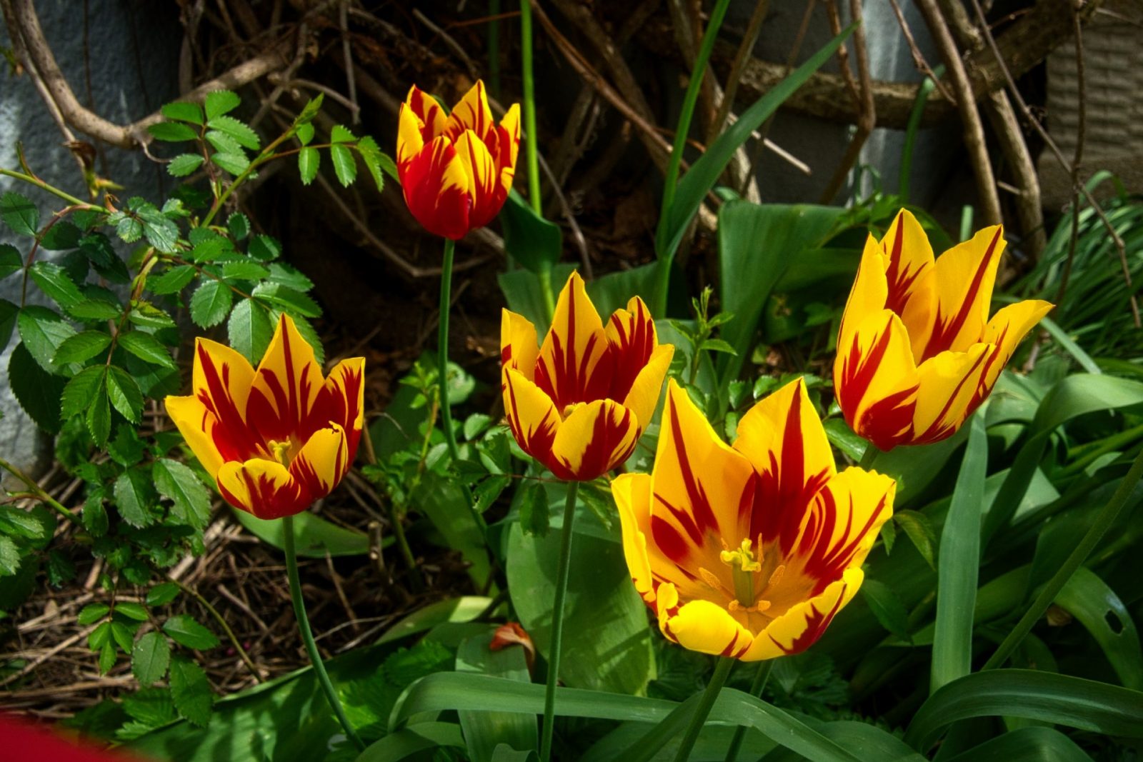 resized_2023_HuG_03u04_0101