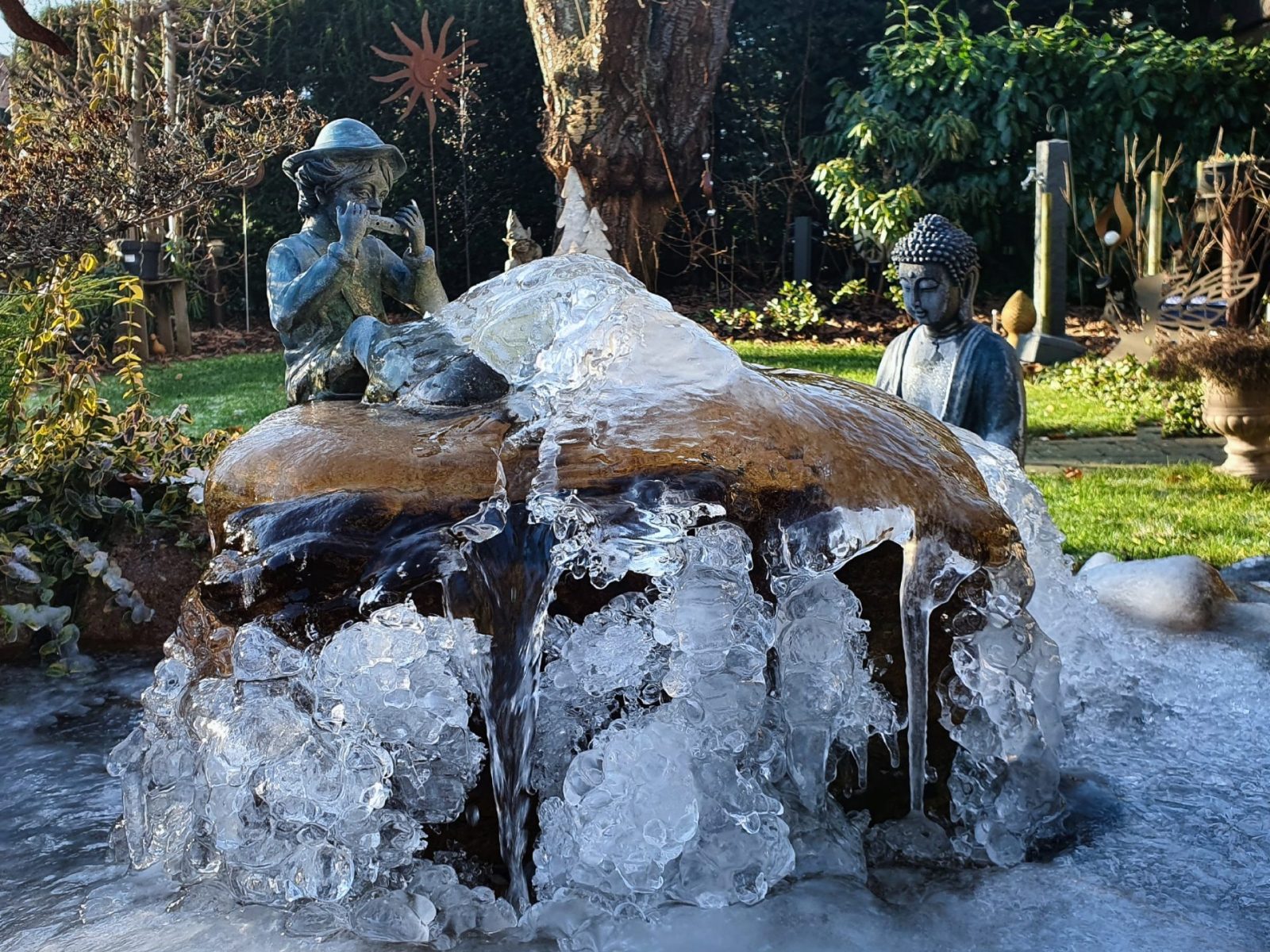 resized_20240110_131901C