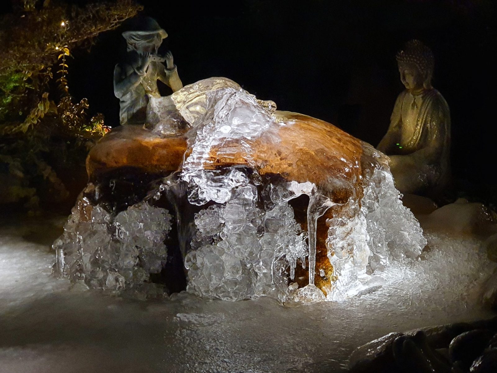 resized_20240110_174141C