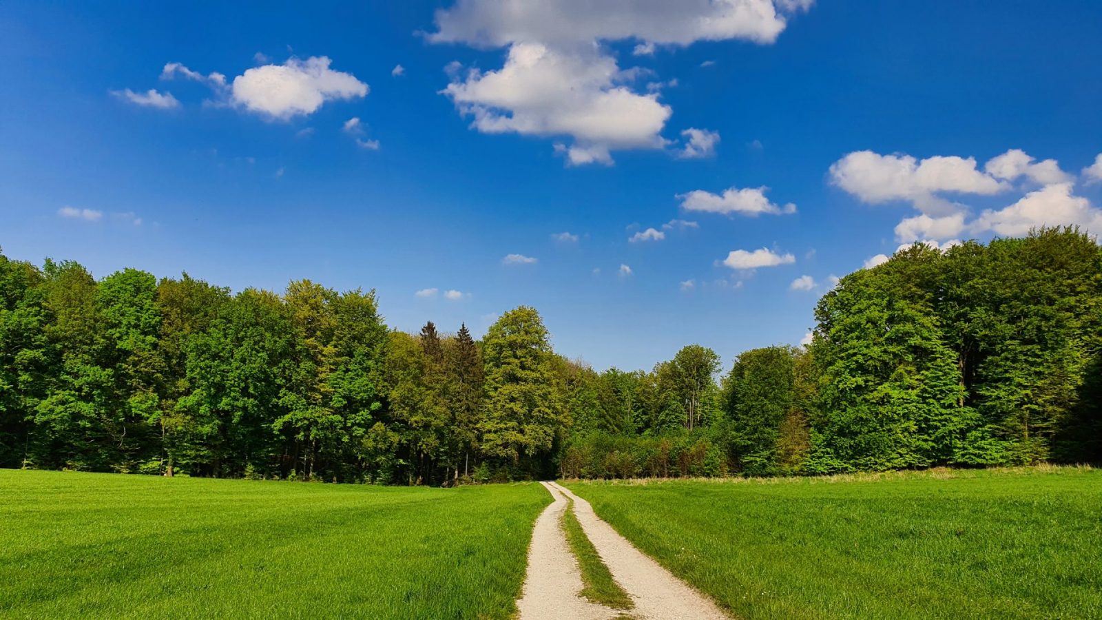 resized_20240502_170328c