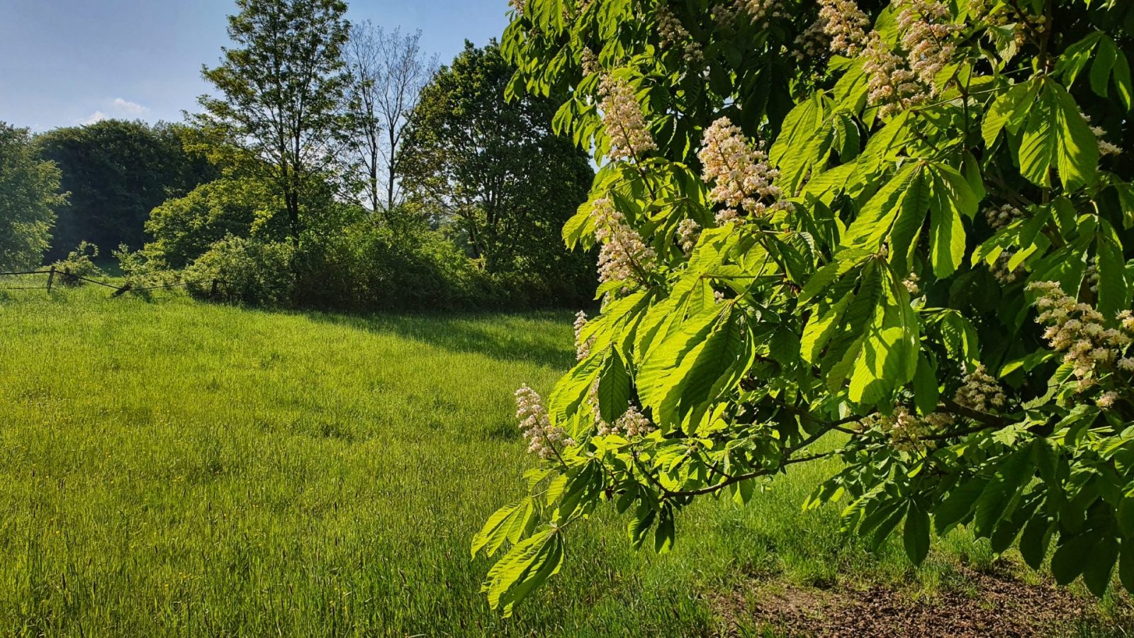 resized_20240502_170628c