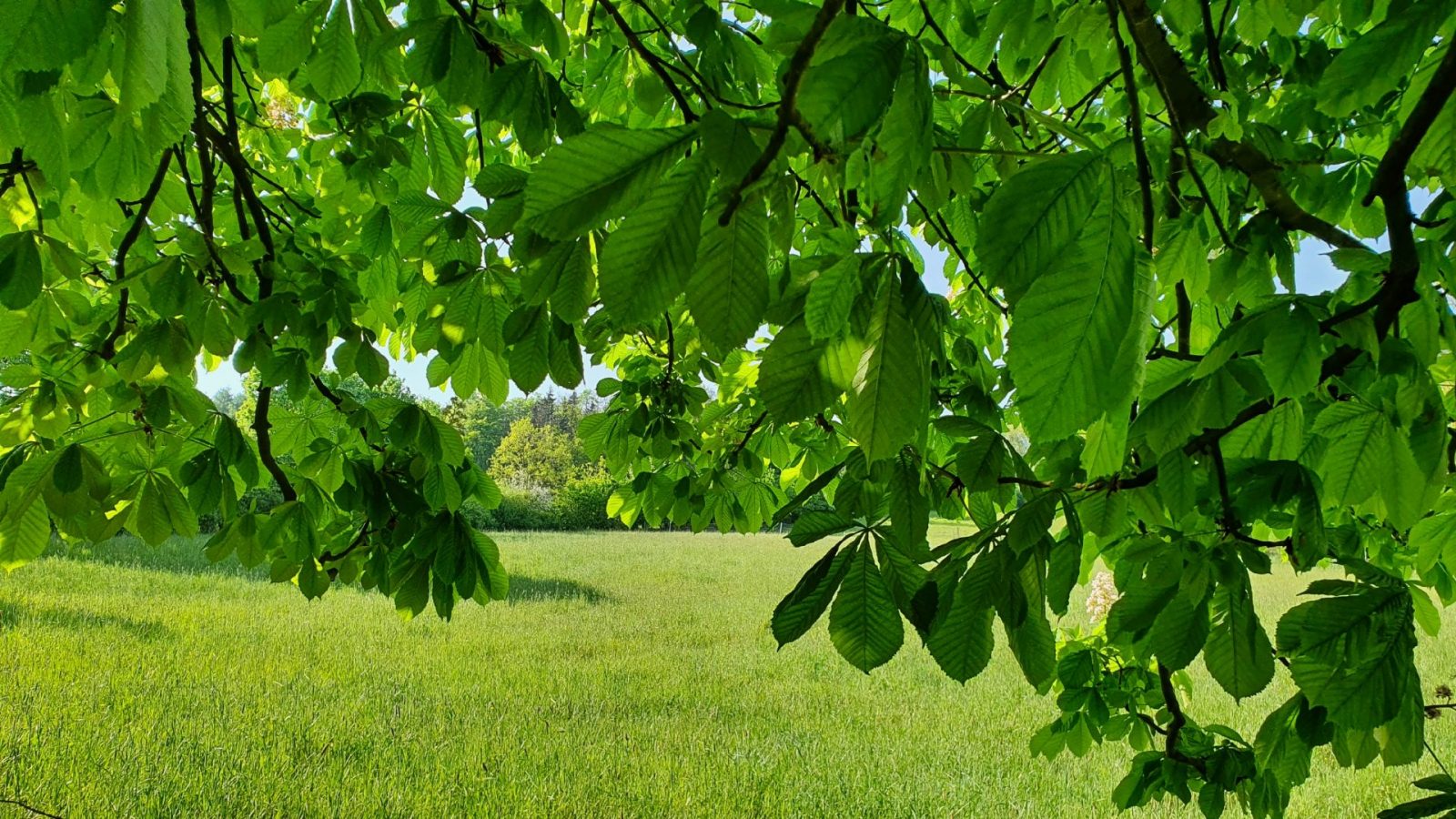 resized_20240502_170812c