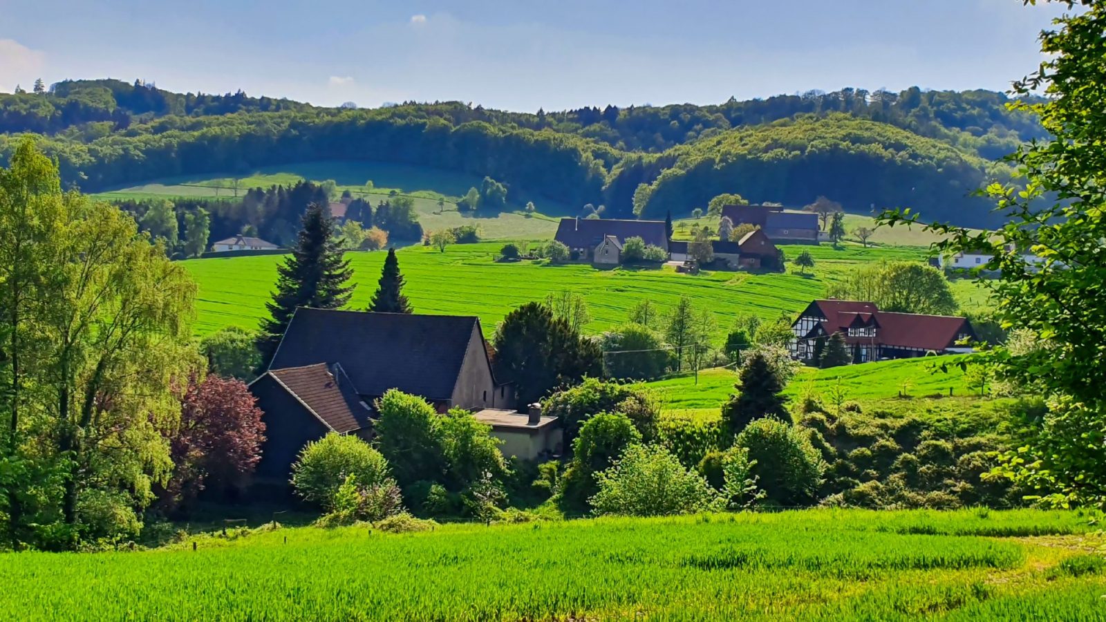 resized_20240502_171447c