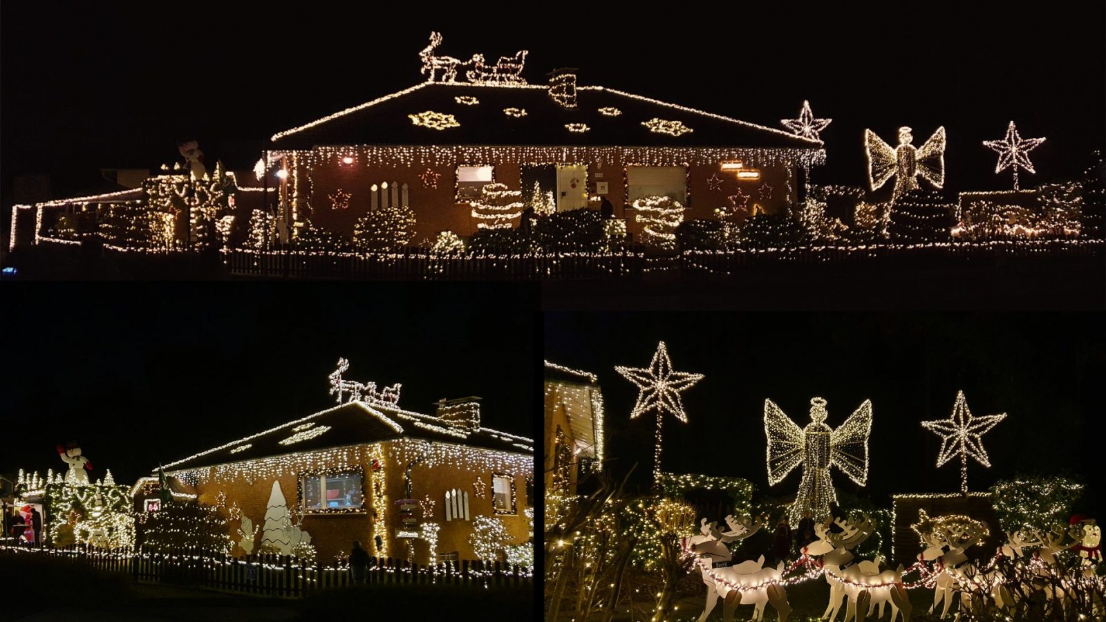 resized_WP_Weih_SH_2