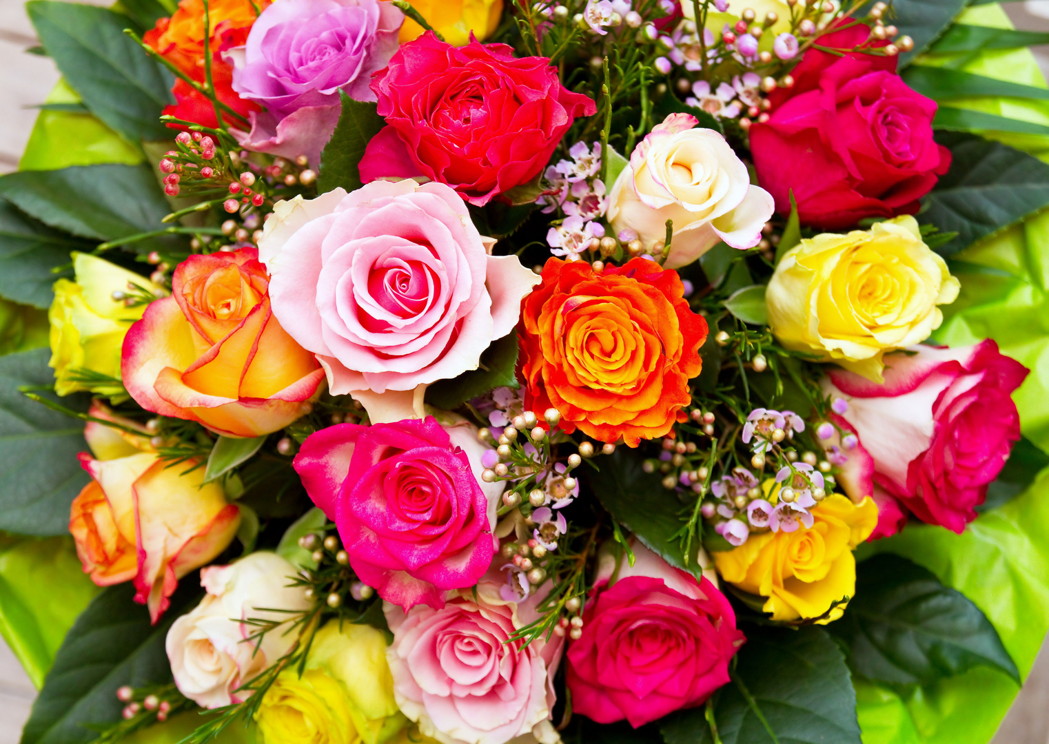 rosenstrauss-be9dc756-7c85-4df2-a455-952601620e7d