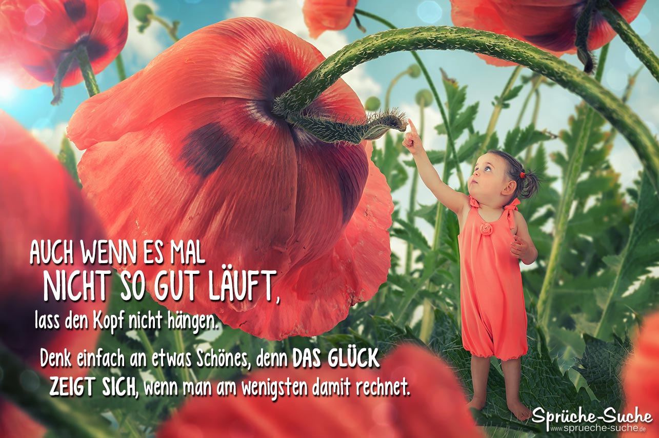 schoene-sprueche-ueber-glueck (1)