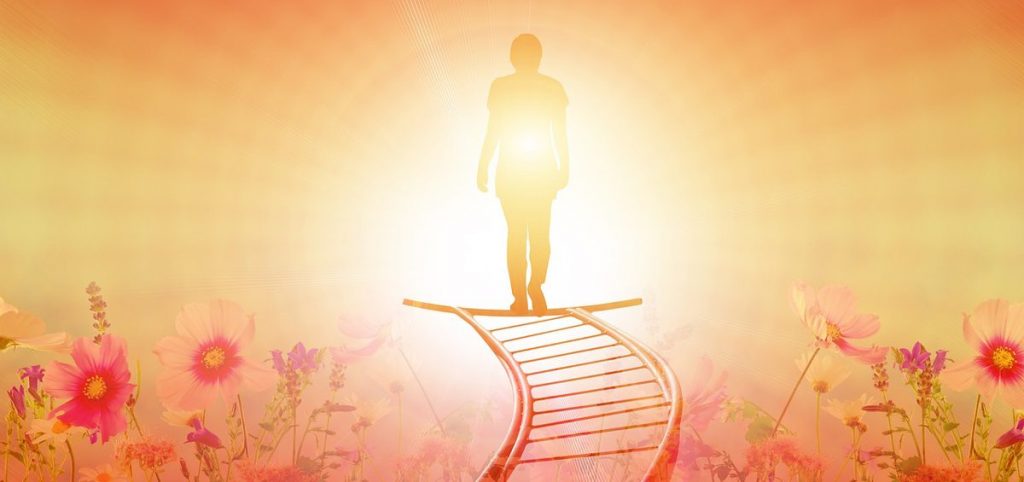 Palliativ begleitetes Sterben